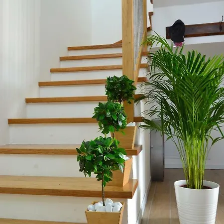 Co.me 563 * Доло