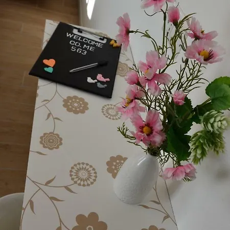 Co.me 563 Проживание в семье *