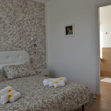 Co.me 563 Проживание в семье Доло