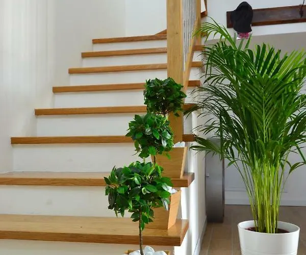 Co.me 563 * ドーロ