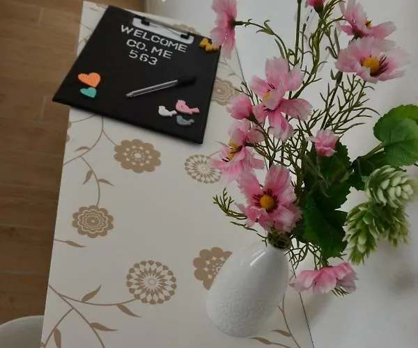 Co.me 563 ホームステイ *